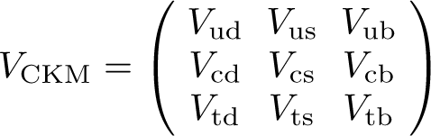 The CKM Matrix (Technical Description)